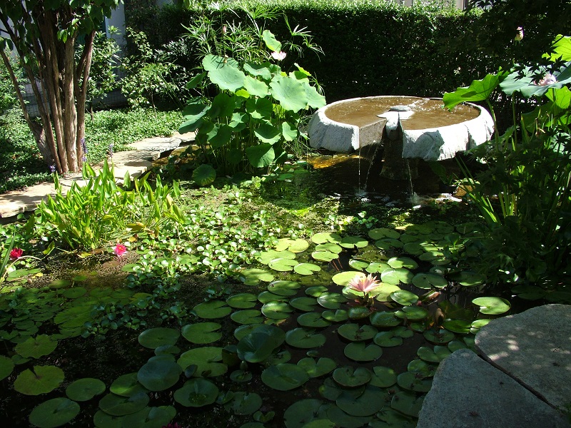 fontana 1