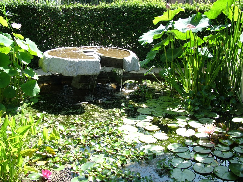 fontana 3